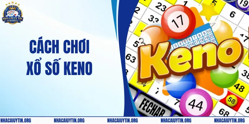 Cách Chơi Xổ Số Keno – Chia Sẻ Thông Tin Chi Tiết & Dễ Hiểu
